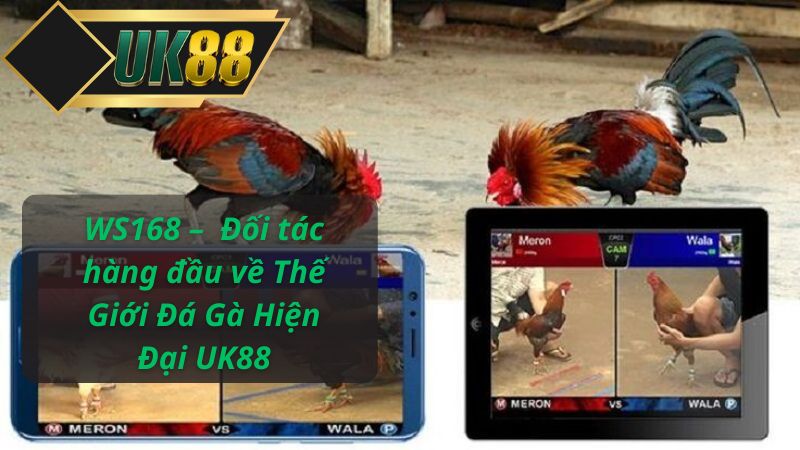 WS168 – Đối tác hàng đầu về Thế Giới Đá Gà Hiện Đại UK88